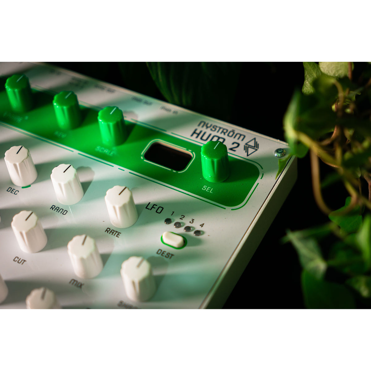 Close-up of the HUM 2 logo, display and LFO section in soft light