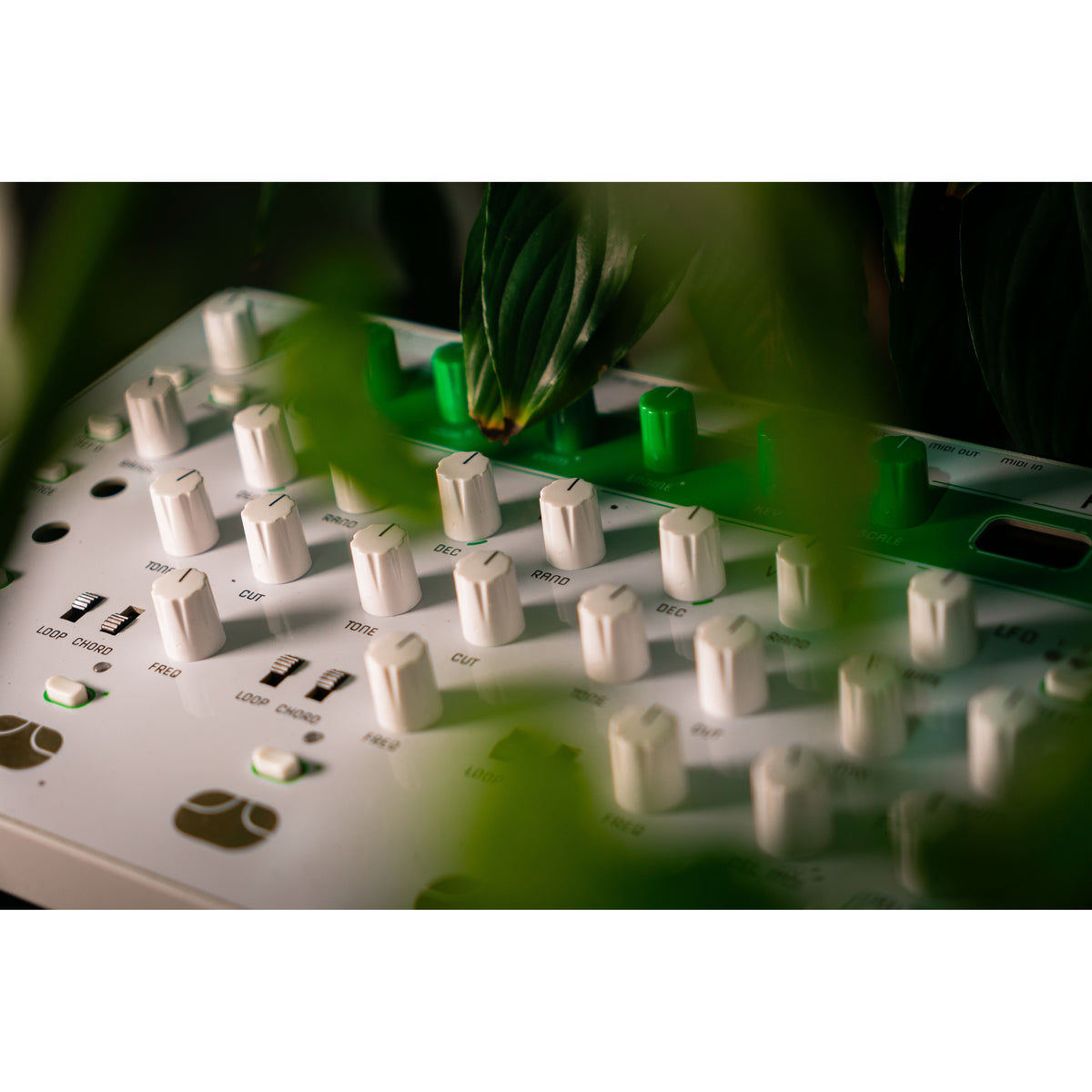 Close-up of HUM 2 voice knobs and switches seen through leaves