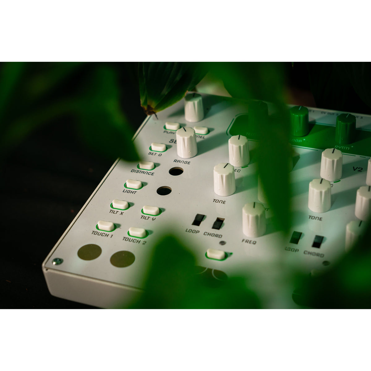 Close-up of HUM 2 buttons and brass touch pads with leaves in the foreground
